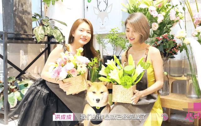 收集星星的高吉